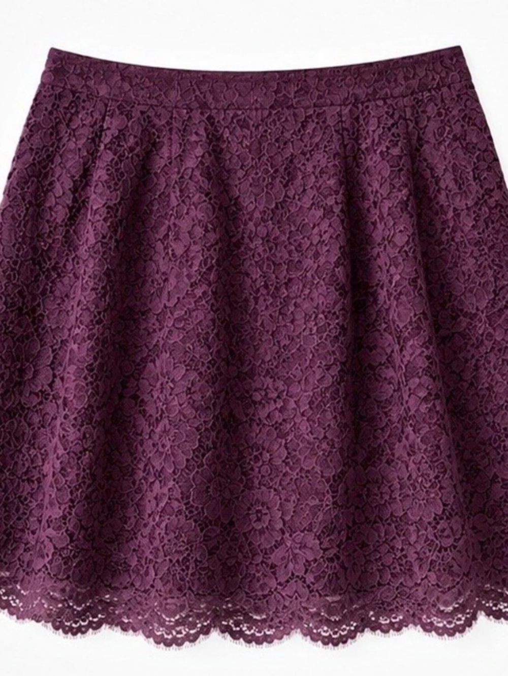 Ann Taylor LOFT Floral Lace A-Line Skirt in Purple Size 12 NWT